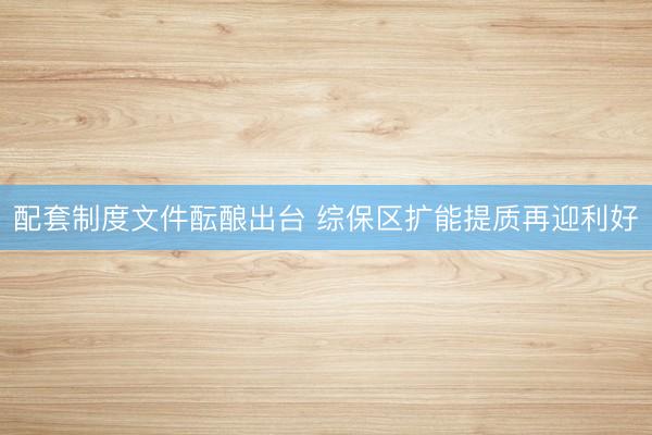 配套制度文件酝酿出台 综保区扩能提质再迎利好