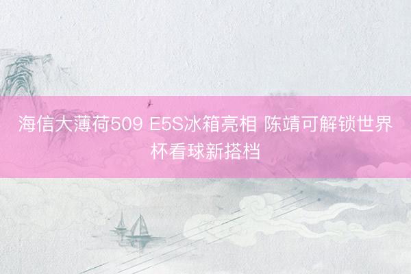 海信大薄荷509 E5S冰箱亮相 陈靖可解锁世界杯看球新搭档