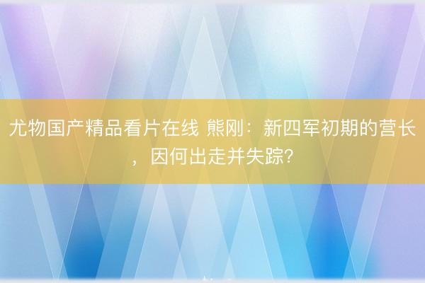 尤物国产精品看片在线 熊刚：新四军初期的营长，因何出走并失踪？