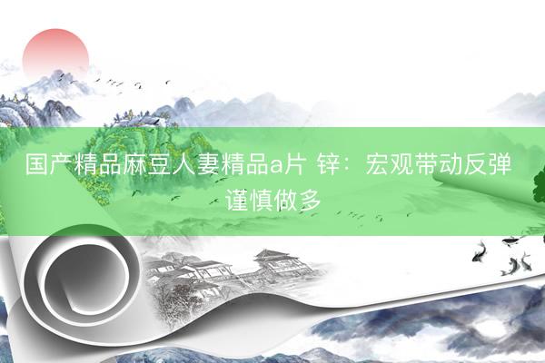 国产精品麻豆人妻精品a片 锌：宏观带动反弹 谨慎做多