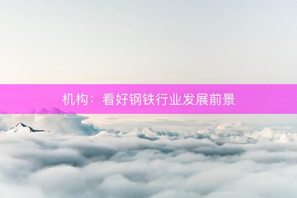 机构：看好钢铁行业发展前景