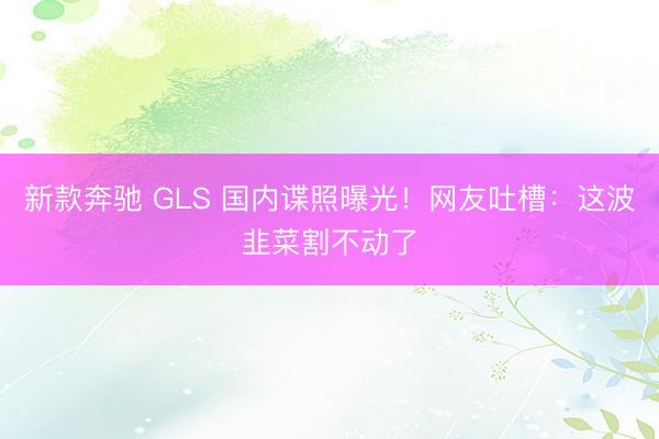 新款奔驰 GLS 国内谍照曝光！网友吐槽：这波韭菜割不动了