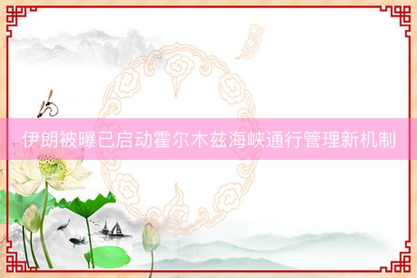 伊朗被曝已启动霍尔木兹海峡通行管理新机制
