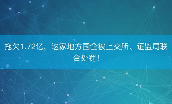 拖欠1.72亿,这家地方国企被上交所、证监局联合处罚!