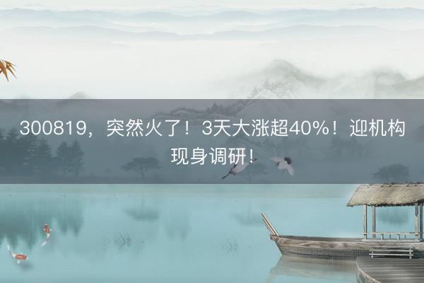 300819，突然火了！3天大涨超40%！迎机构现身调研！