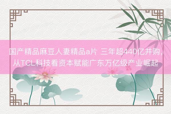 国产精品麻豆人妻精品a片 三年超440亿并购，从TCL科技看资本赋能广东万亿级产业崛起