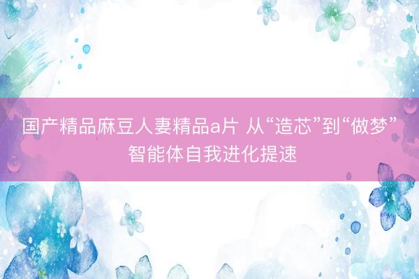 国产精品麻豆人妻精品a片 从“造芯”到“做梦” 智能体自我进化提速