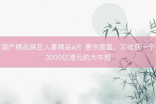 国产精品麻豆人妻精品a片 惠州首富，又收获一个3000亿港元的大牛股
