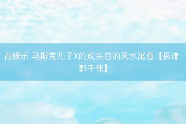 青娱乐 马斯克儿子X的虎头包的风水寓意【极谦·郭千伟】