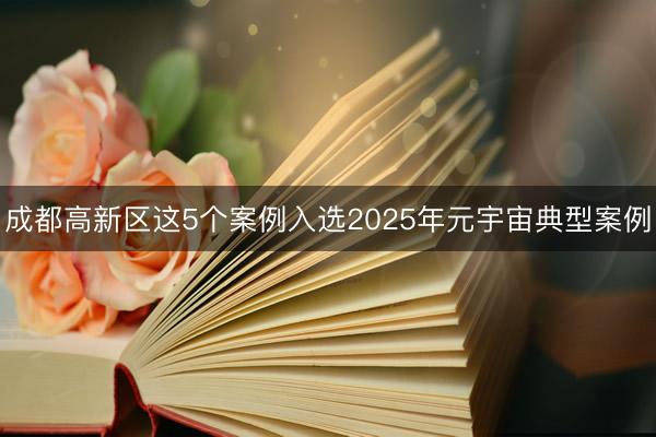 成都高新区这5个案例入选2025年元宇宙典型案例