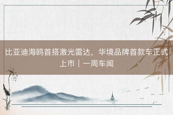 比亚迪海鸥首搭激光雷达，华境品牌首款车正式上市｜一周车闻