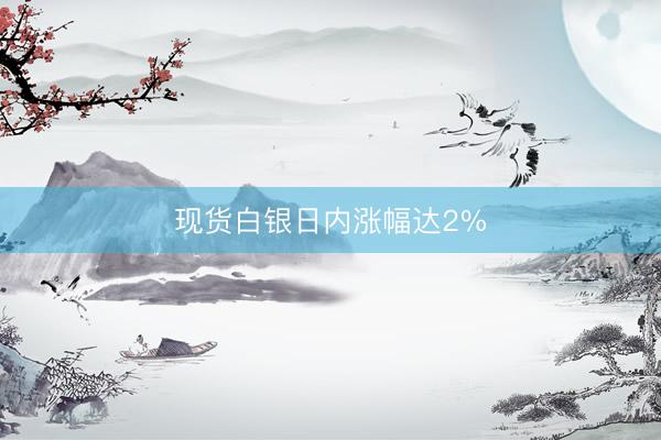 现货白银日内涨幅达2%