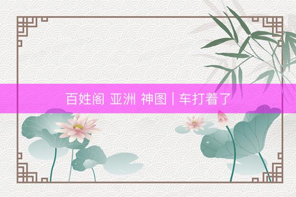 百姓阁 亚洲 神图 | 车打着了