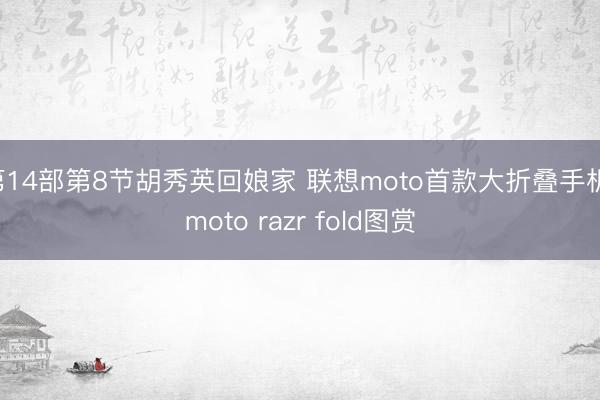 第14部第8节胡秀英回娘家 联想moto首款大折叠手机！moto razr fold图赏