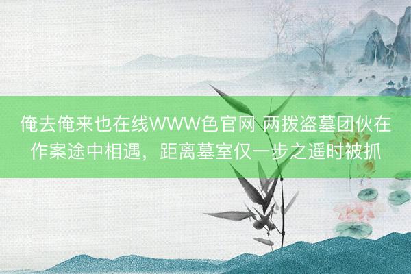 俺去俺来也在线WWW色官网 两拨盗墓团伙在作案途中相遇，距离墓室仅一步之遥时被抓