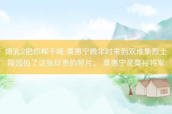 爆乳2把你榨干哦 粟惠宁晚年时来到双堆集烈士陵园拍了这张珍贵的照片。 粟惠宁是粟裕将军