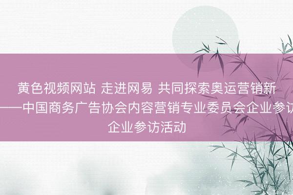 黄色视频网站 走进网易 共同探索奥运营销新趋势——中国商务广告协会内容营销专业委员会企业参访活动
