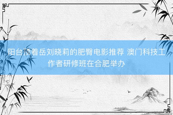 阳台顶着岳刘晓莉的肥臀电影推荐 澳门科技工作者研修班在合肥举办