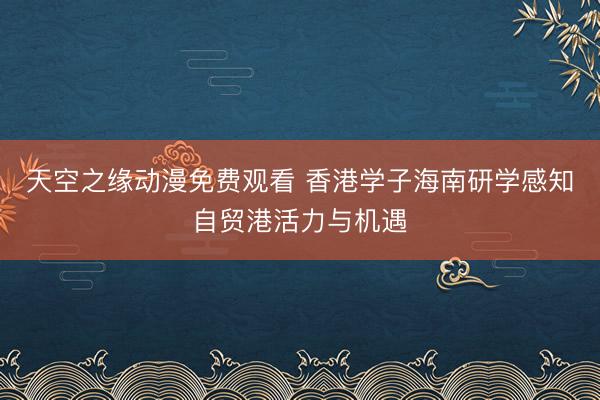 天空之缘动漫免费观看 香港学子海南研学感知自贸港活力与机遇