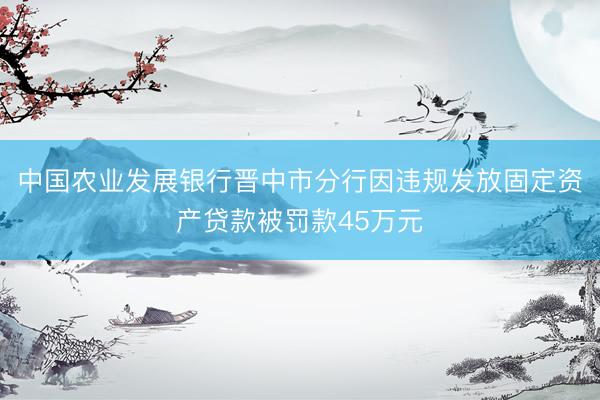 中国农业发展银行晋中市分行因违规发放固定资产贷款被罚款45万元