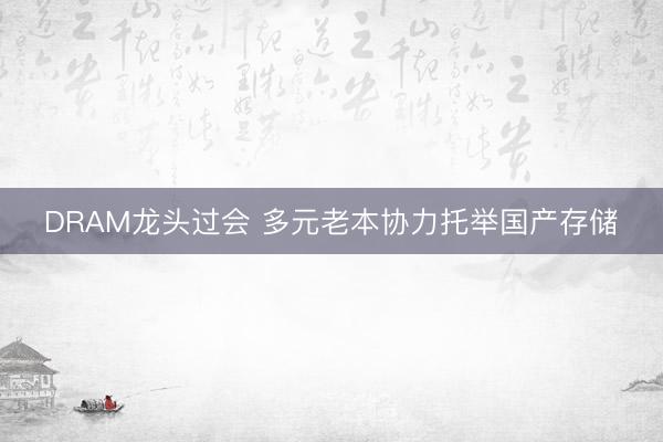 DRAM龙头过会 多元老本协力托举国产存储