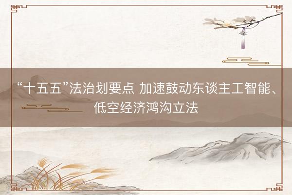“十五五”法治划要点 加速鼓动东谈主工智能、低空经济鸿沟立法