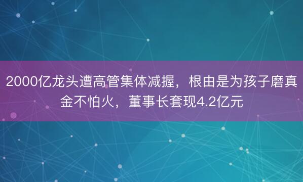 2000亿龙头遭高管集体减握，根由是为孩子磨真金不怕火，董事长套现4.2亿元