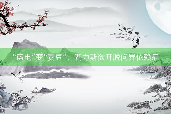 “蓝电”变“赛豆”，赛力斯欲开脱问界依赖症