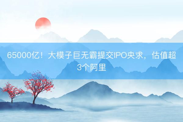 65000亿！大模子巨无霸提交IPO央求，估值超3个阿里