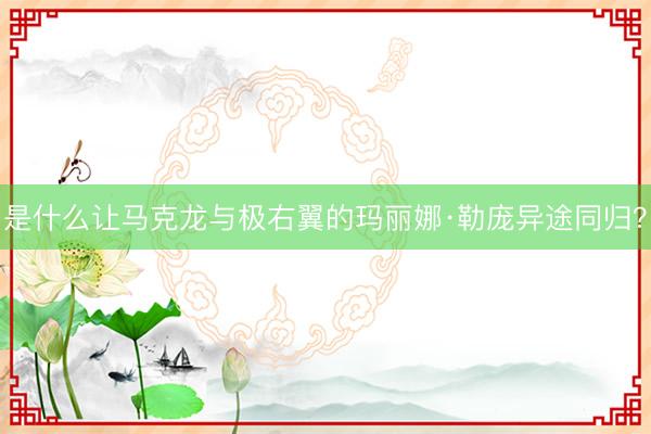 是什么让马克龙与极右翼的玛丽娜·勒庞异途同归？