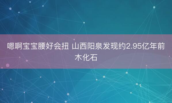 嗯啊宝宝腰好会扭 山西阳泉发现约2.95亿年前木化石