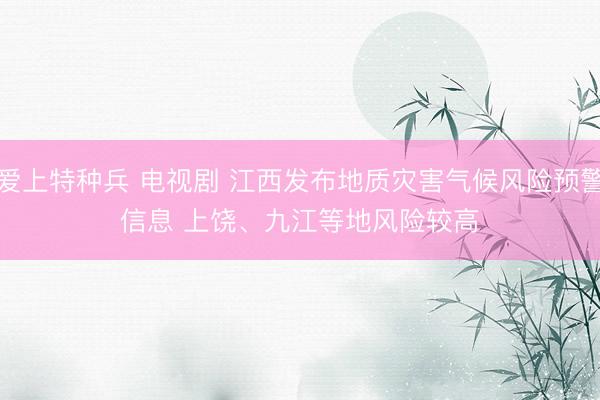 爱上特种兵 电视剧 江西发布地质灾害气候风险预警信息 上饶、九江等地风险较高
