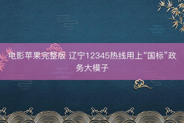 电影苹果完整版 辽宁12345热线用上“国标”政务大模子
