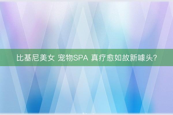 比基尼美女 宠物SPA 真疗愈如故新噱头？