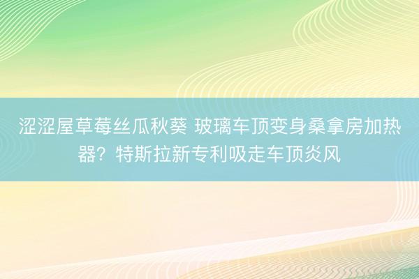 涩涩屋草莓丝瓜秋葵 玻璃车顶变身桑拿房加热器？特斯拉新专利吸走车顶炎风