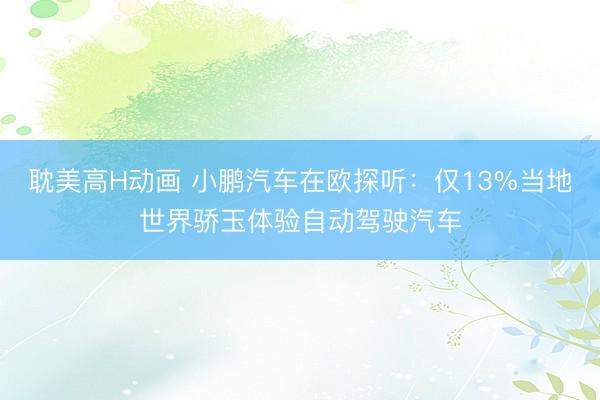 耽美高H动画 小鹏汽车在欧探听：仅13%当地世界骄玉体验自动驾驶汽车