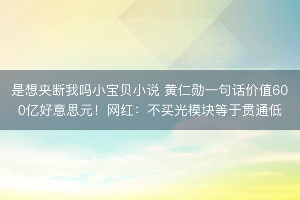 是想夹断我吗小宝贝小说 黄仁勋一句话价值600亿好意思元！网红：不买光模块等于贯通低