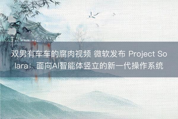 双男有车车的腐肉视频 微软发布 Project Solara：面向AI智能体竖立的新一代操作系统
