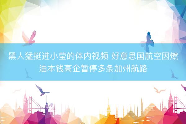 黑人猛挺进小莹的体内视频 好意思国航空因燃油本钱高企暂停多条加州航路