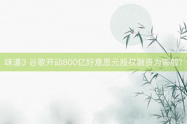 味道3 谷歌开动800亿好意思元股权融资为哪般？