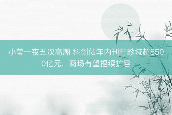 小莹一夜五次高潮 科创债年内刊行畛域超8500亿元，商场有望捏续扩容