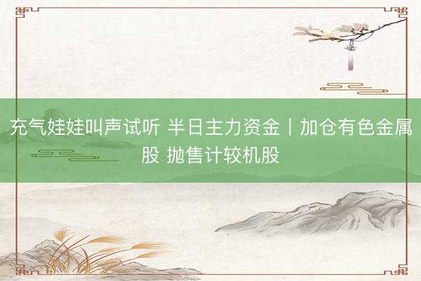 充气娃娃叫声试听 半日主力资金丨加仓有色金属股 抛售计较机股