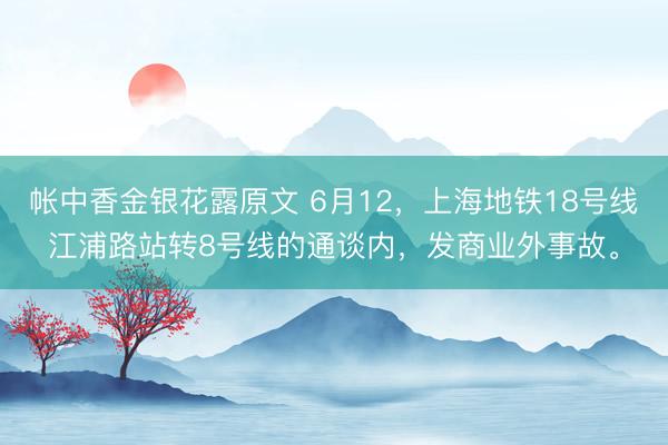 帐中香金银花露原文 6月12，上海地铁18号线江浦路站转8号线的通谈内，发商业外事故。
