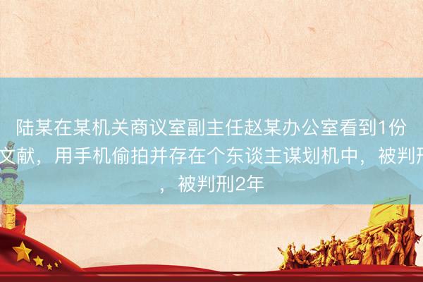 陆某在某机关商议室副主任赵某办公室看到1份神秘文献，用手机偷拍并存在个东谈主谋划机中，被判刑2年
