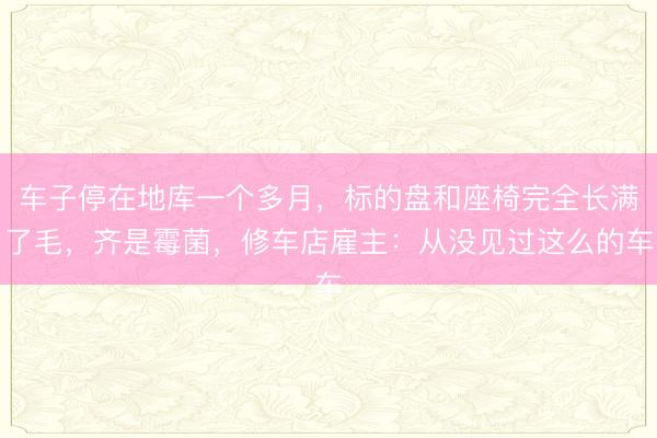 车子停在地库一个多月，标的盘和座椅完全长满了毛，齐是霉菌，修车店雇主：从没见过这么的车
