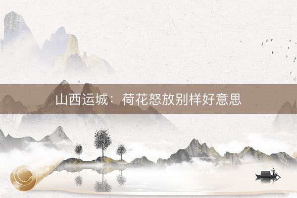 山西运城：荷花怒放别样好意思