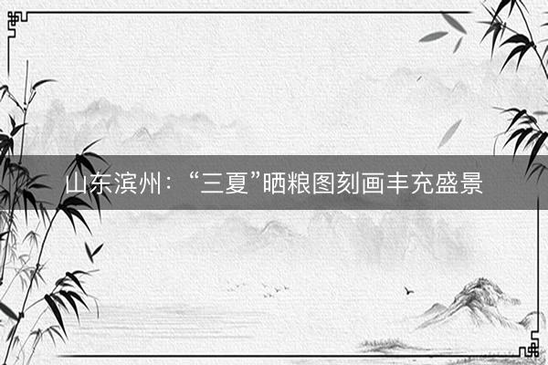 山东滨州：“三夏”晒粮图刻画丰充盛景