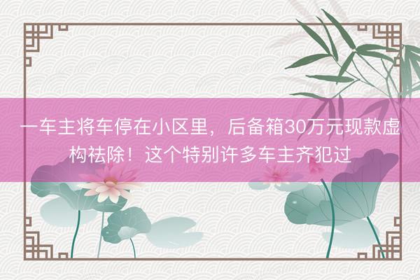 一车主将车停在小区里，后备箱30万元现款虚构祛除！这个特别许多车主齐犯过