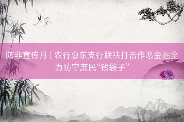 防非宣传月 | 农行惠东支行联袂打击作恶金融全力防守庶民“钱袋子”
