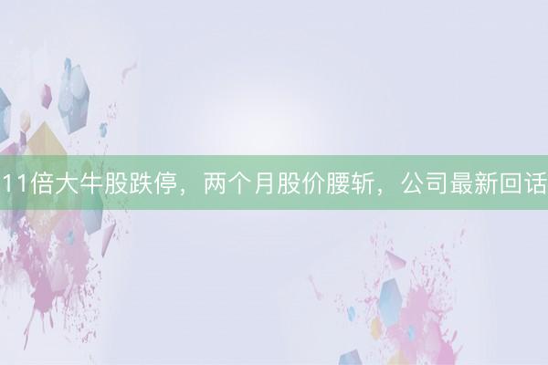 11倍大牛股跌停，两个月股价腰斩，公司最新回话